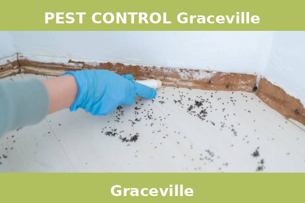PEST CONTROL Graceville